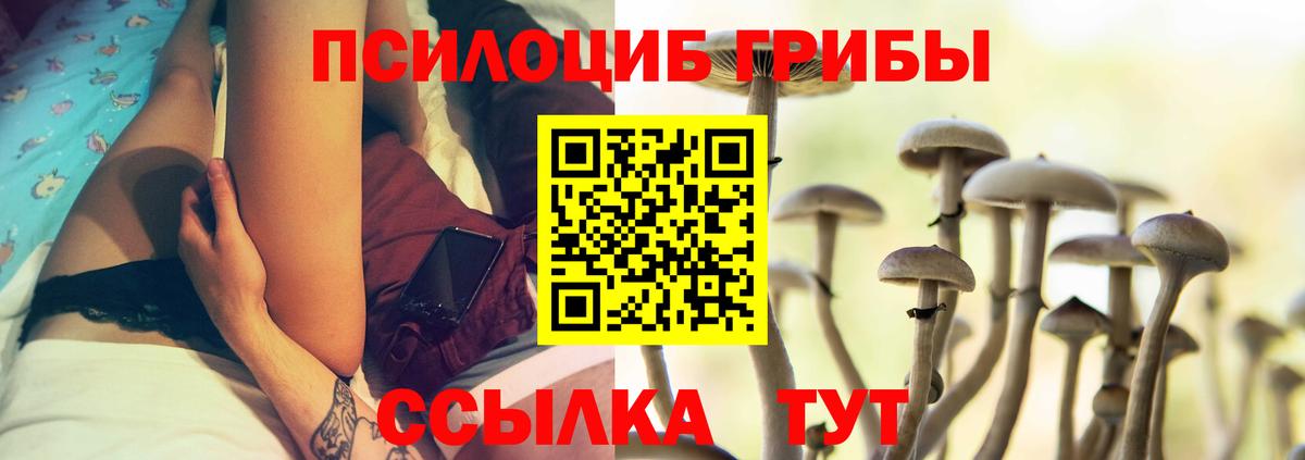 Галлюциногенные грибы GOLDEN TEACHER  Вход с VPN  Майский 